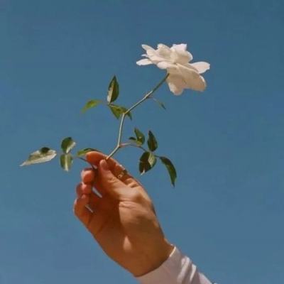 神火大陆手游官方版下载